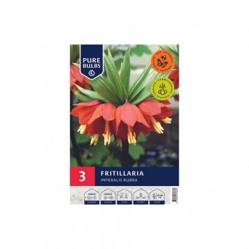 Fritillaria Imperalis Rubra 