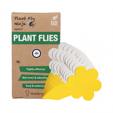 Plant Fly Ninja Rouwvliegen en plantvliegen Plakstrips 10 stuks