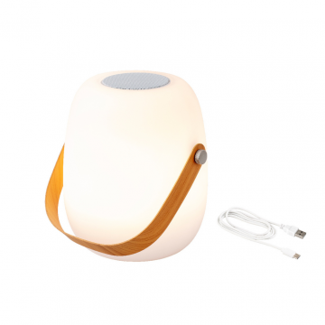 Lumineo Speaker met LED licht Oplaadbaar
