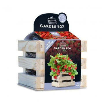 Gardenbox kweekset Aardbei sappig