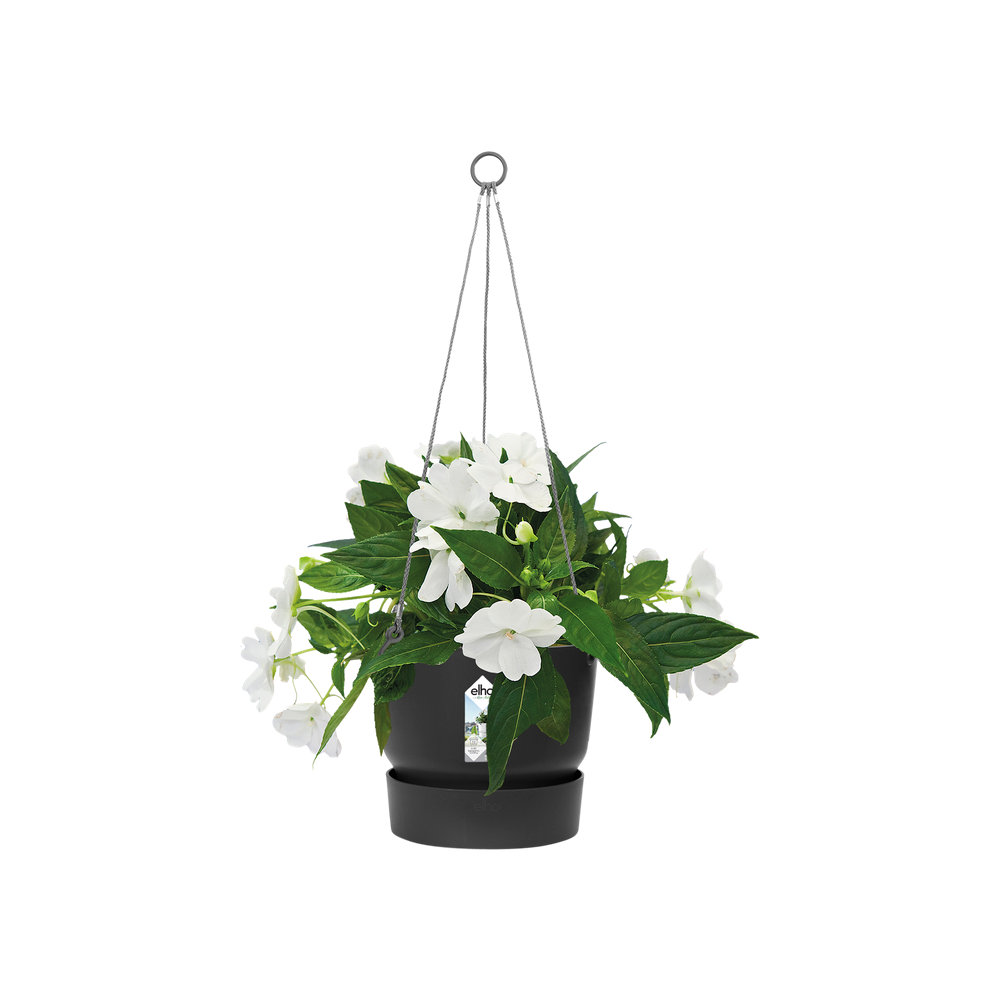 Elho Greenville Hanging Basket 24cm Living Black