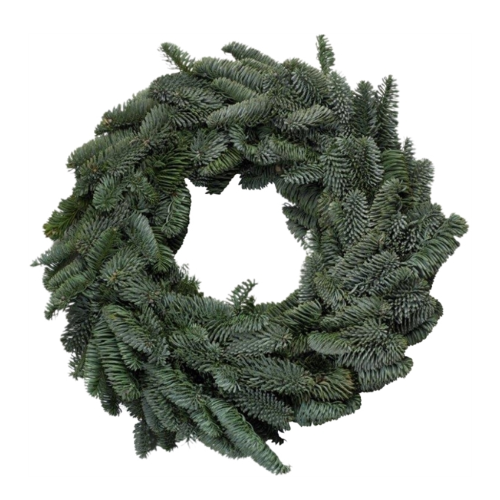 Krans Nobilis Pinus 30 cm rond gebonden