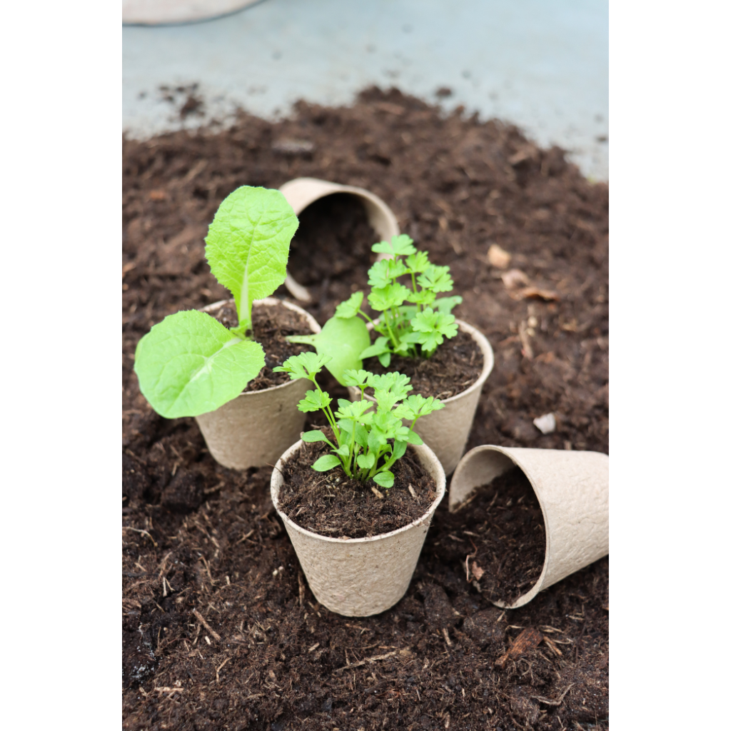 Kweekpotjes Bio 7.6 x 8 cm | 30 stuks