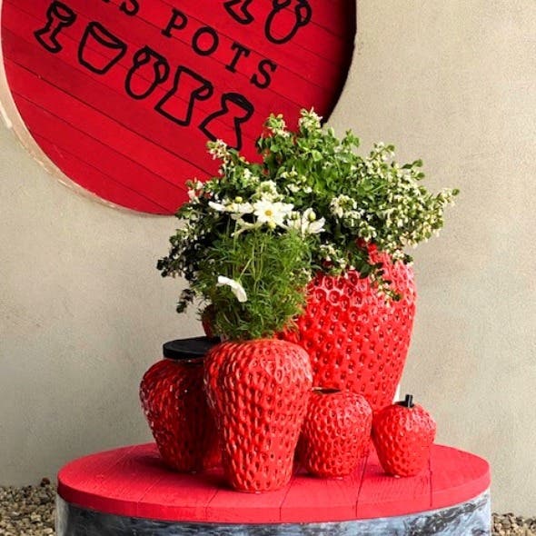 Des Pots Aardbeivaas rood 12 x 12 cm