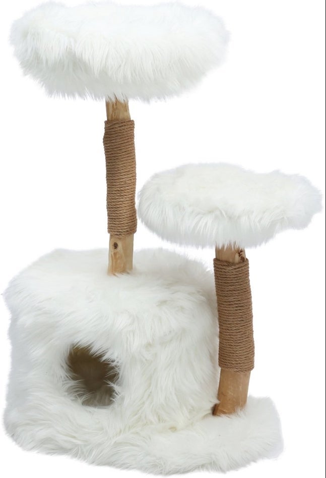 Klimboom Sorbus Polar White 100cm