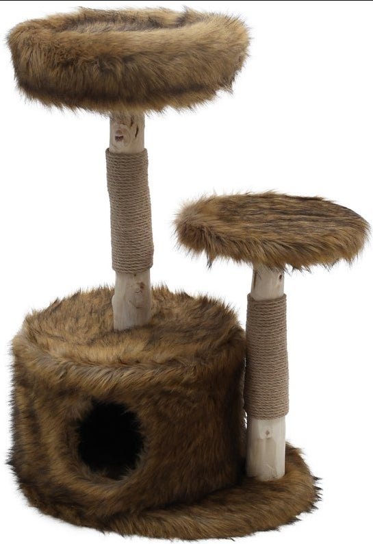 Klimboom Sorbus Grizzly Brown 100cm