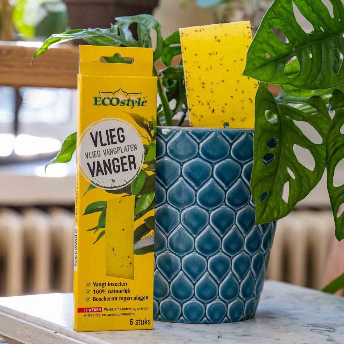 ECOstyle VliegVanger 5 stuks