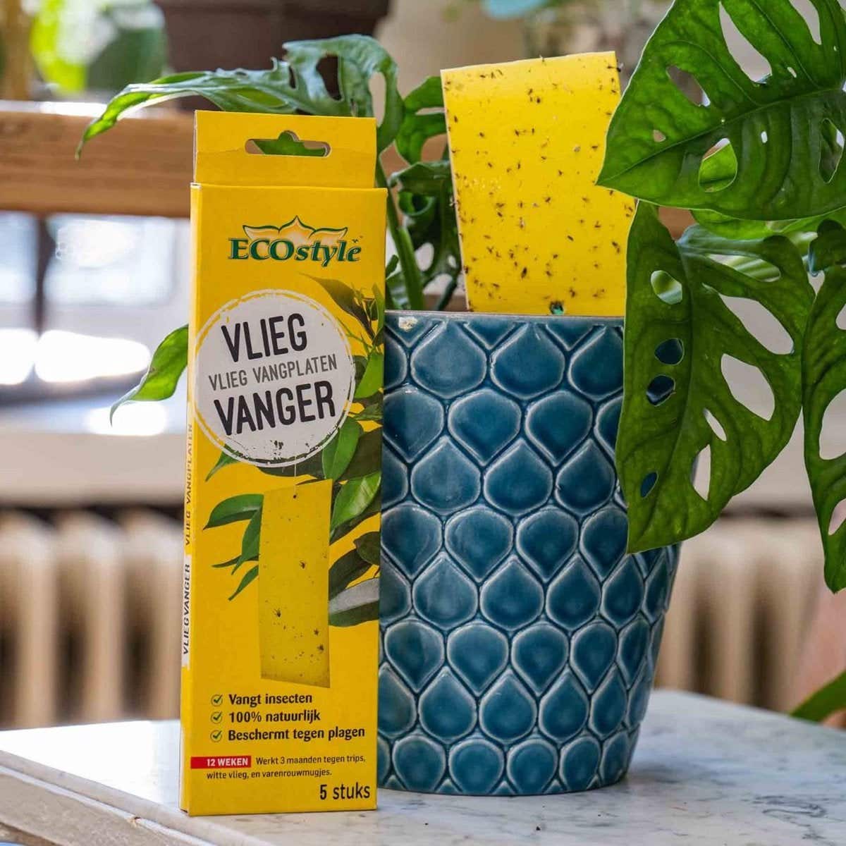 ECOstyle VliegVanger 5 stuks