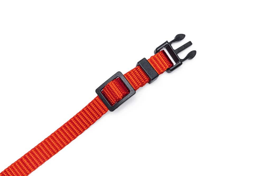 Beeztees kattenhalsband Parinca rood 25-30 x 1 cm