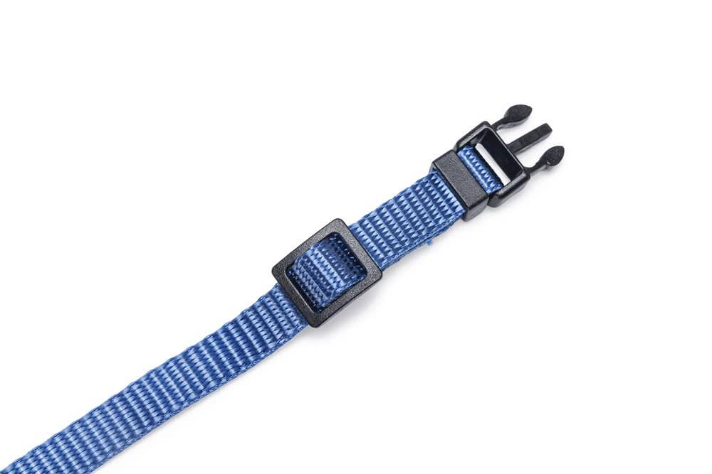 Beeztees kattenhalsband Parinca blauw 25-30 x 1 cm
