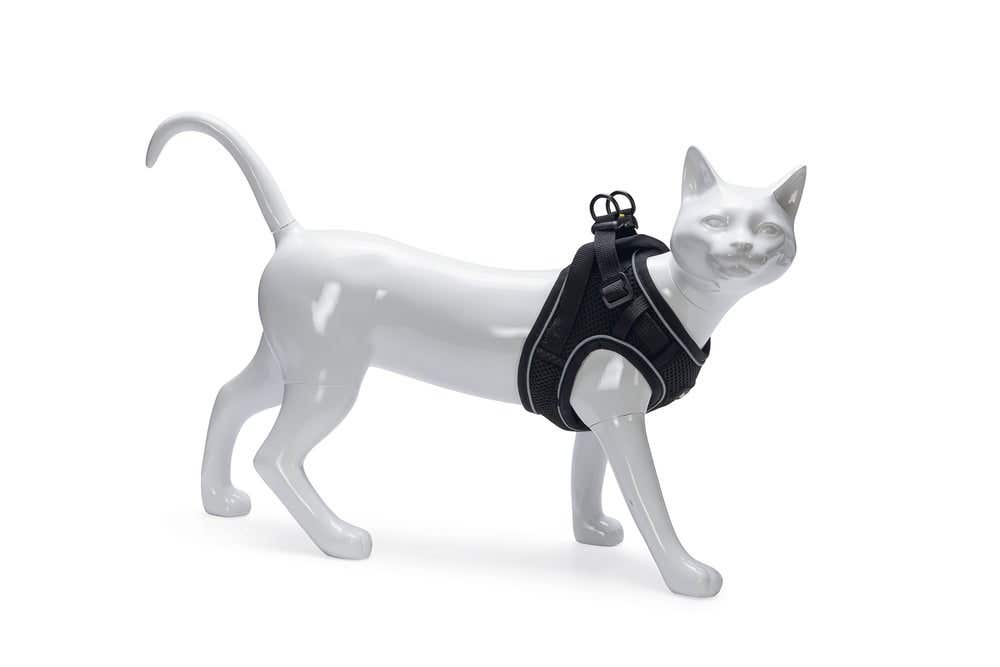 Beeztees kattentuigje met lijn Parinca zwart S/M 23-28 cm