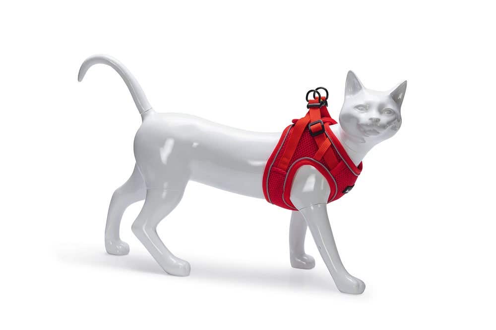 Beeztees kattentuigje met lijn Parinca rood S/M 23-28 cm