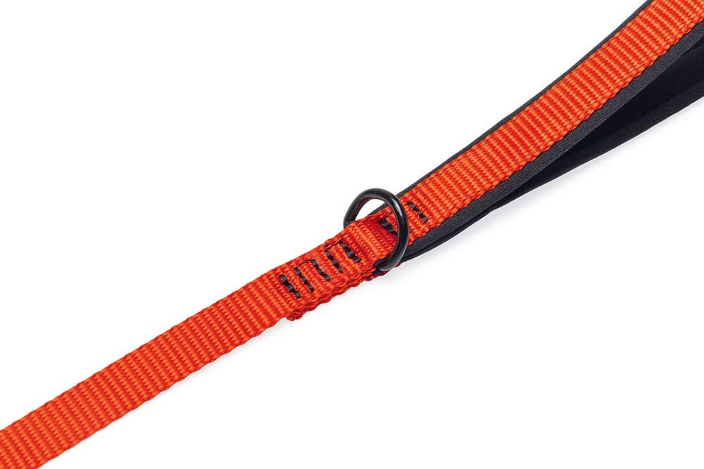 Beeztees kattentuigje met lijn Parinca rood S/M 23-28 cm