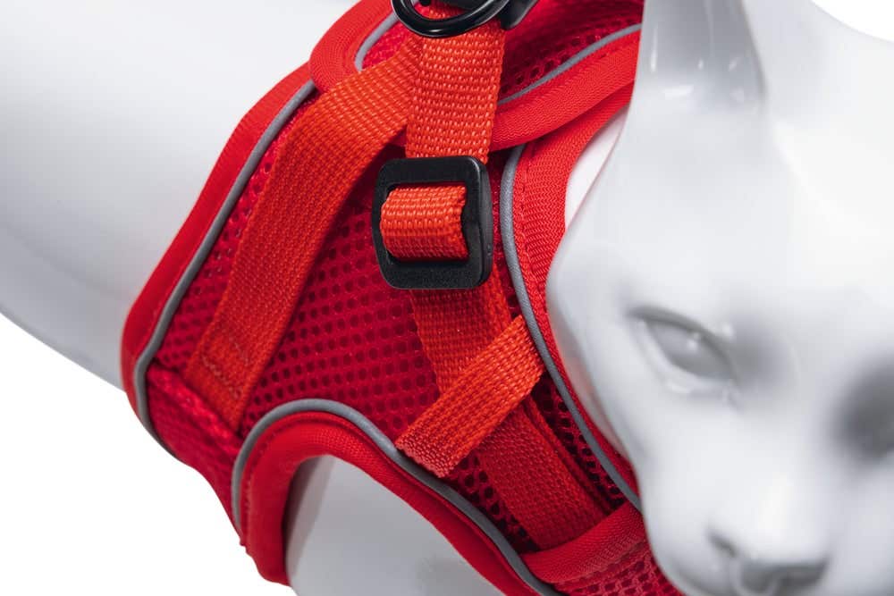 Beeztees kattentuigje met lijn Parinca rood M/L 26-31 cm