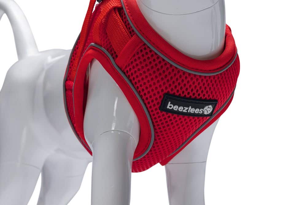 Beeztees kattentuigje met lijn Parinca rood M/L 26-31 cm