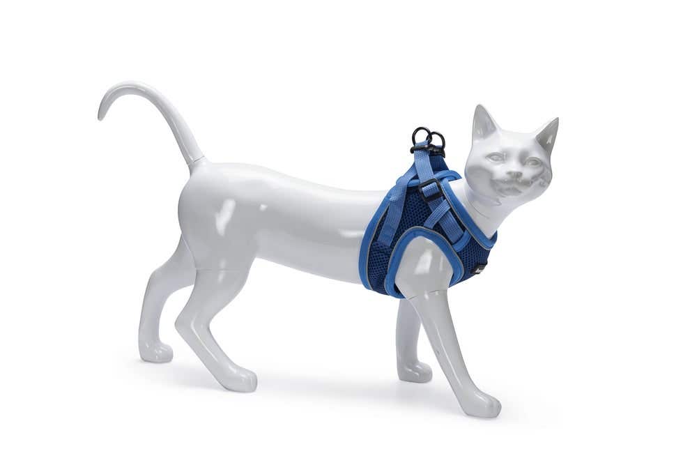 Beeztees kattentuigje met lijn Parinca blauw S/M 23-28 cm