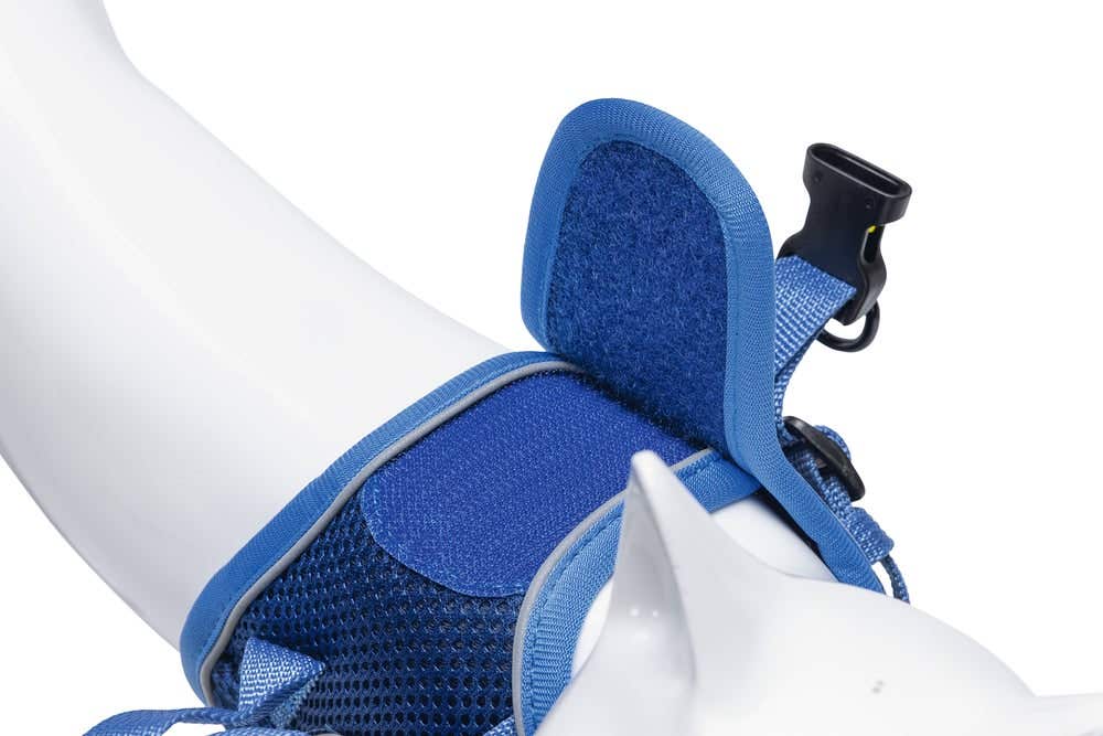 Beeztees kattentuigje met lijn Parinca blauw S/M 23-28 cm