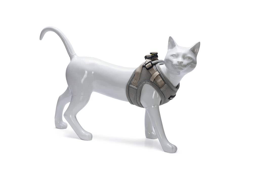 Beeztees kattentuigje met lijn Parinca grijs M/L 26-31 cm