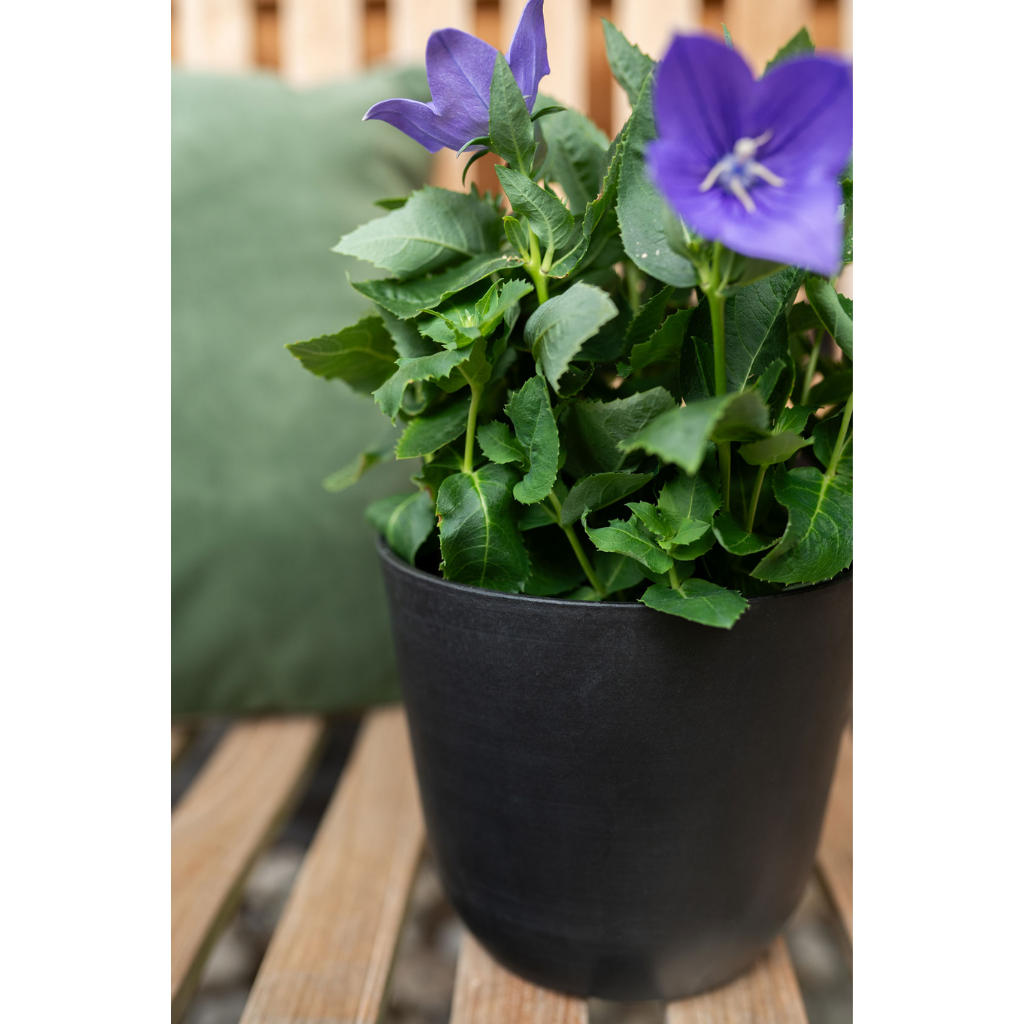 TS Collection Pot Palermo Zwart 12 x 13 cm