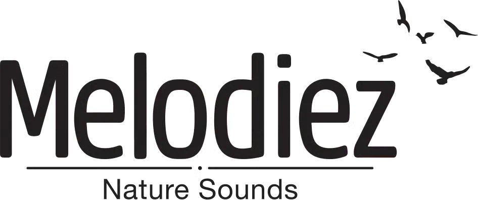 Melodiez