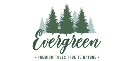 Evergreen