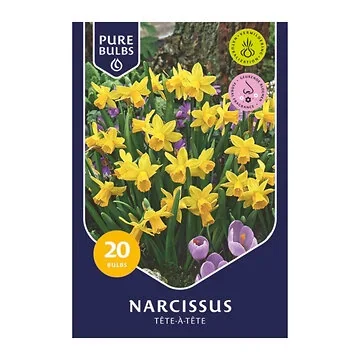 Pure Bulbs Narcissus Tête-à-Tête 20 bollen