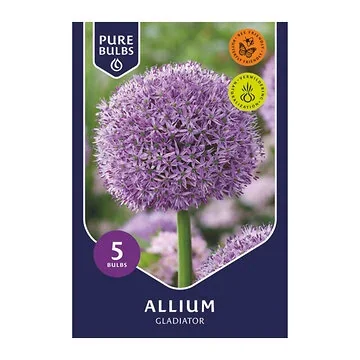 Pure Bulbs Allium Gladiator 5 bollen