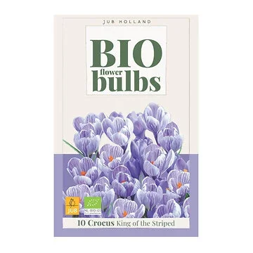 JUB Holland Crocus King of the Striped 10 bollen