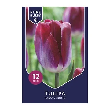 Pure Bulbs Tulipa Kansas Proud 12 bollen