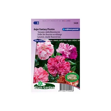 Carnation Chabaud Picotee Fantasy mix