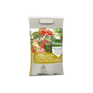 Pokon Potgrond Anthurium 5L