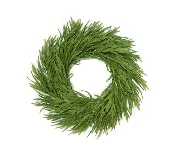 Norfolk krans 60 cm