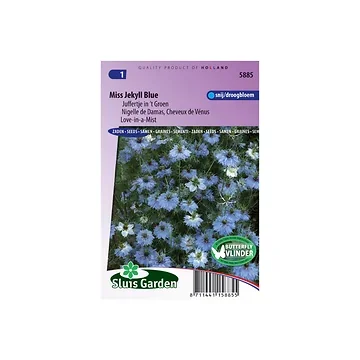Nigella damascena Miss Jekyll Blue
