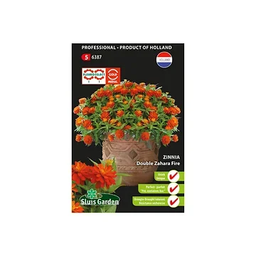 Zinnia marylandica Double Zahara Fire