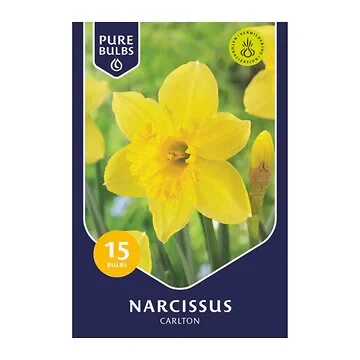 Pure Bulbs Narcissus Carlton 15 bollen