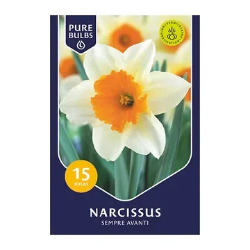Pure Bulbs Narcissus Sempre Avanti 15 bollen