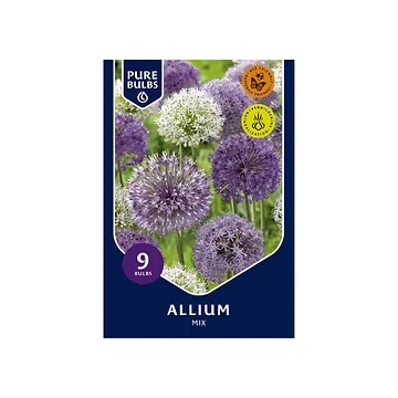 Pure Bulbs Bloembollen Sierui (Allium 'Mix') 9 stuks