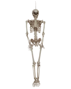 Halloween Skelet 