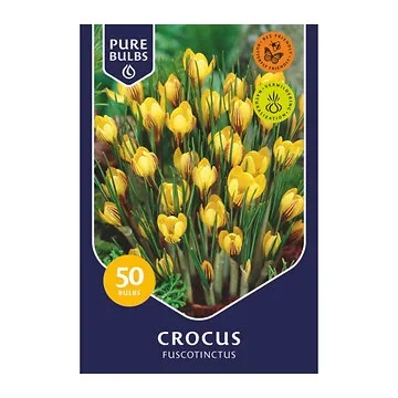 Pure Bulbs Crocus Fuscotinctus 50 bollen