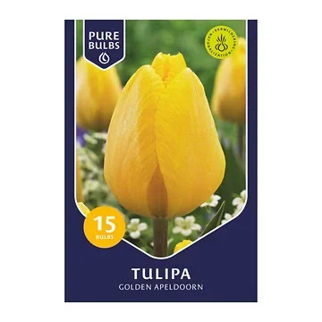Pure Bulbs Tulipa Golden Apeldoorn 15 bollen