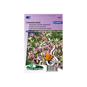 Matthiola long. Bic. Scentsation Mix