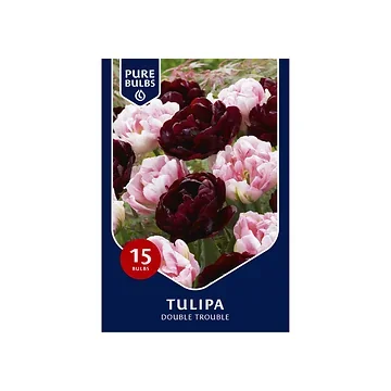 Pure Bulbs Tulipa Double Trouble 12 bollen