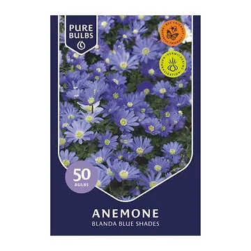 Pure Bulbs Anemone Blanda Blue Shades 50 bollen
