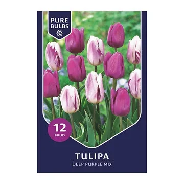 Pure Bulbs Tulipa Deep Purple Mix 12 bollen
