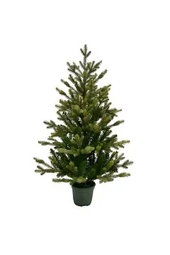 Evergreen tafel kunstkerstboom Emerald angel pine 90 cm