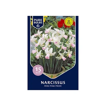 Pure Bulbs Narcissus Mini Pink Pride 15 bollen