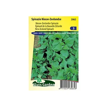 Spinazie Nieuw Zeelandse
