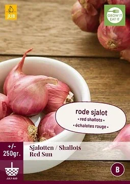 Sjalotten Red Sun 250 gram