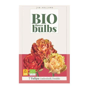 JUB Holland Tulipa Gudoshnik Double 7 bollen
