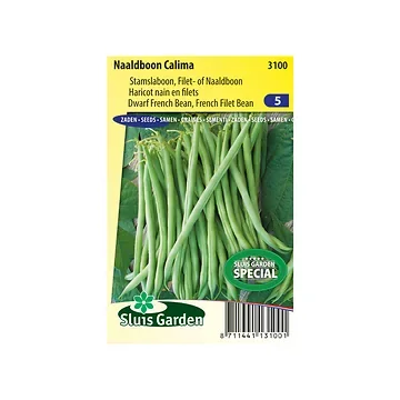 Stamslaboon Calima (Naaldboon)